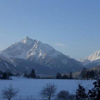 Haus Angelika - Bed & Breakfast - Innsbruck/Igls المظهر الخارجي الصورة